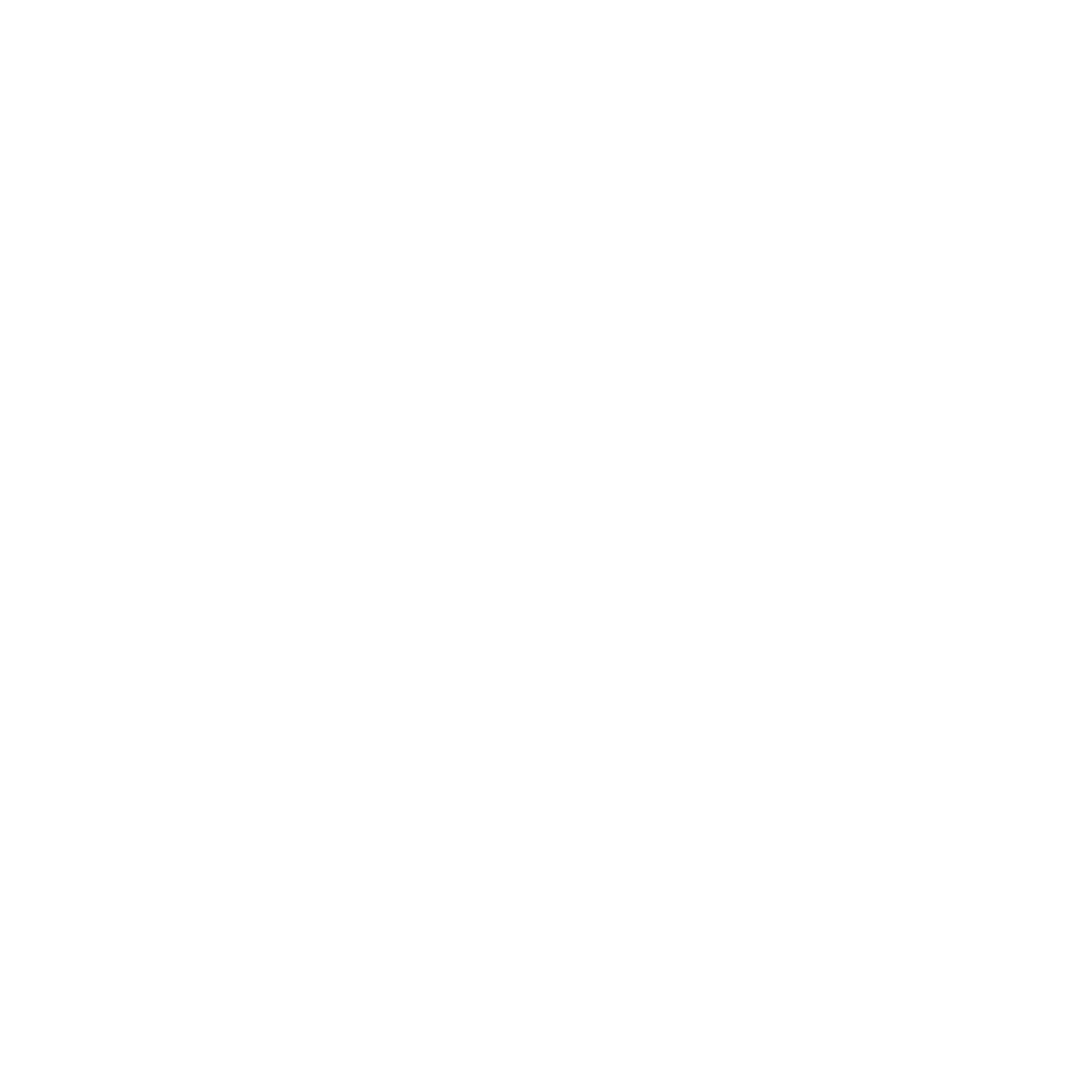 statistic icon