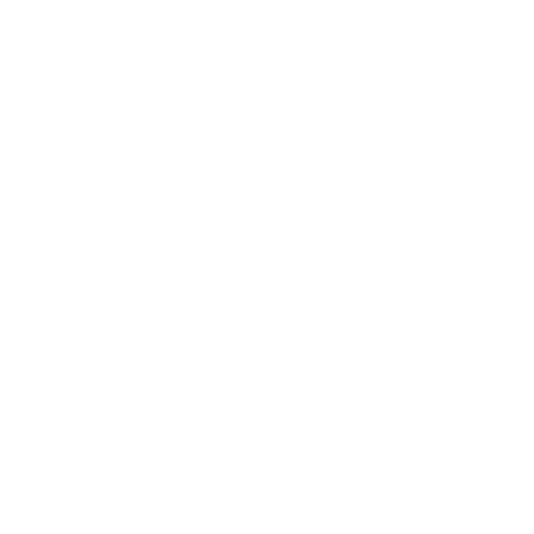 statistic icon