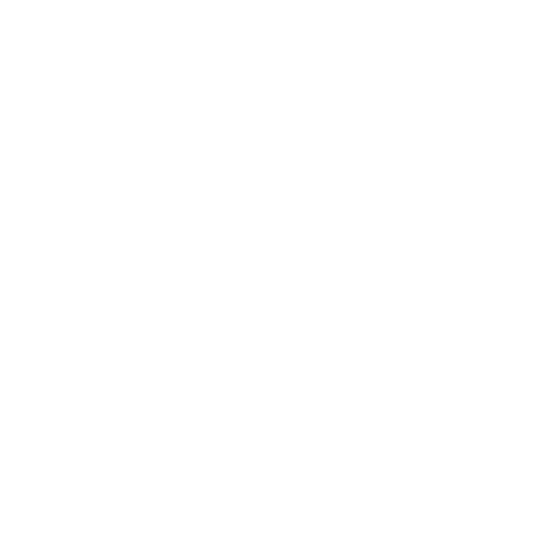 statistic icon